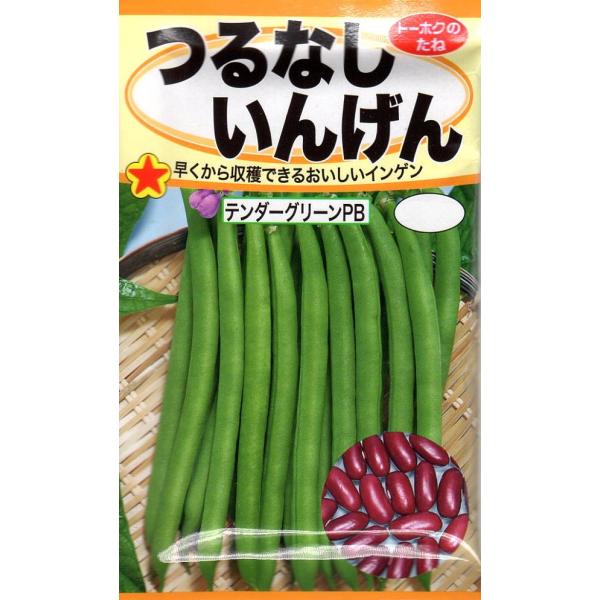 約50日で収穫できるとても作りやすい極早生のつるなしいんげんです。やわらかくて味が良く、鮮緑色の丸莢で約13cm位になります。