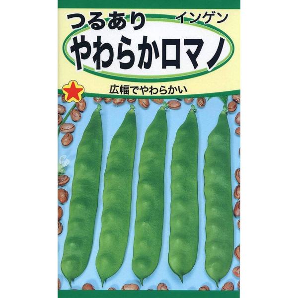 風味豊かで美味しいと定評のある品種。さやは幅2cm、長さ15〜16cmの肉厚で鮮緑色の平さやで、スジもなく食感も優れます。生育旺盛で長期間高い品質を楽しめます。品種名：B-8060