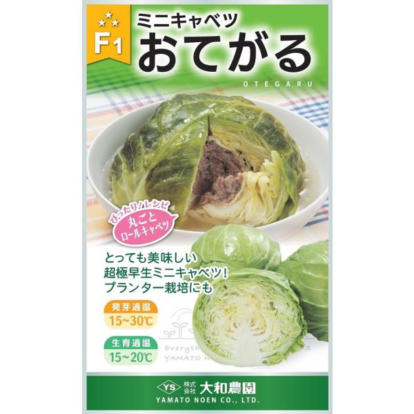 定植後40日から収穫できる極早生ミニキャベツ。球重500〜800g前後の手のひらサイズが収穫目安。外葉がコンパクトで密植栽培・プランター栽培にもおすすめです。