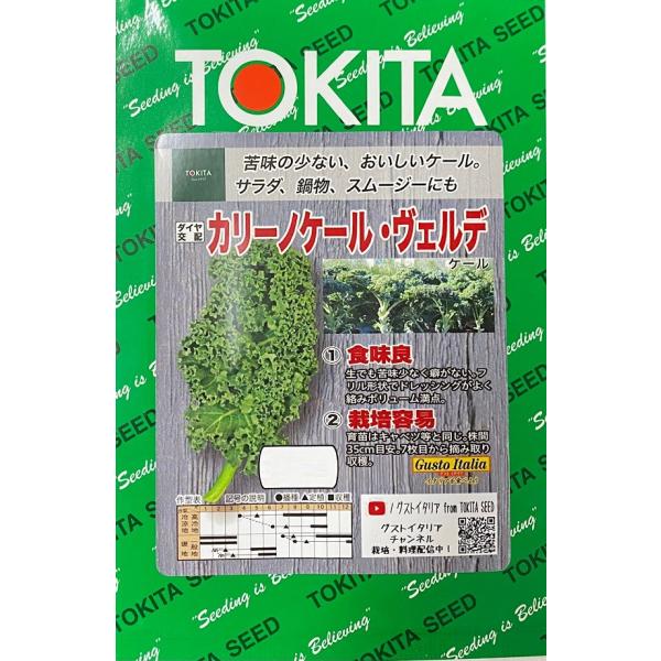 1.食味良生でも苦味少なく癖がない。フリル形状でドレッシングがよく絡みボリューム満点。2.栽培容易育苗はキャベツ等と同じ。株間35cm目安。7枚目から摘み取り収穫。