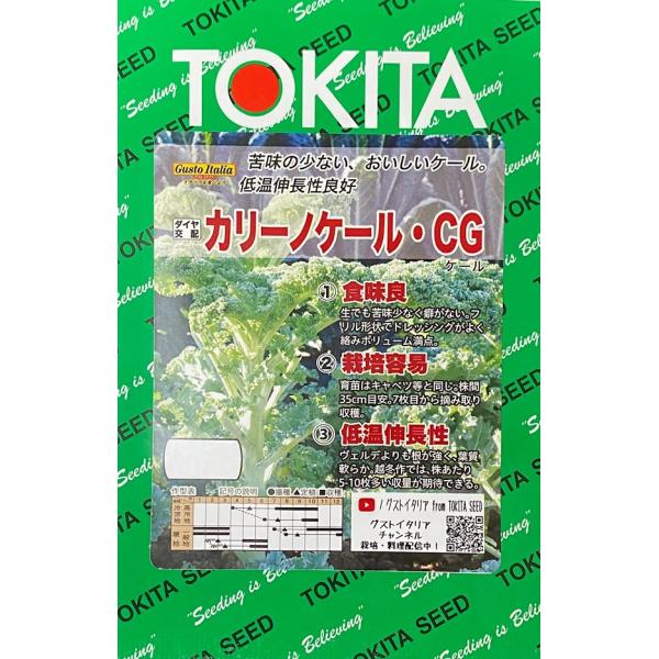 1.食味良生でも苦味少なく癖がない。フリル形状でドレッシングがよく絡みボリューム満点。2.栽培容易育苗はキャベツ等と同じ。株間35cm目安。7枚目から摘み取り収穫。低温伸長性ヴェルデよりも根が強く、葉質軟らか。越冬作では、株あたり5〜10枚...
