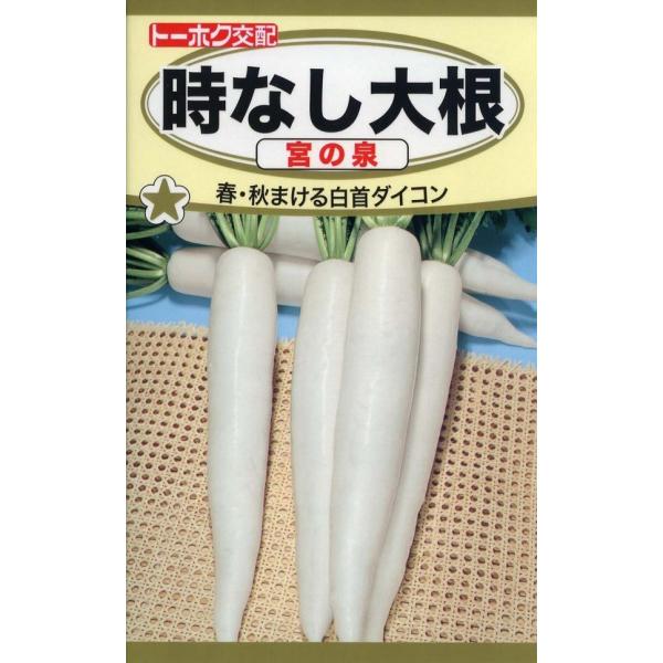 とう立ちが非常に遅く、安心して栽培できる白首大根です。肉質が硬く、辛味がつよい品種です。家庭菜園にもどうぞ！