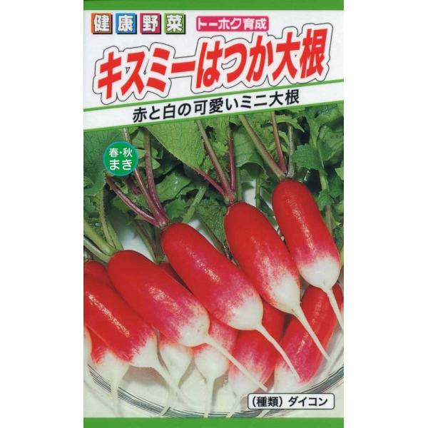 yqzLX~[͂卪 g[zÑ^l