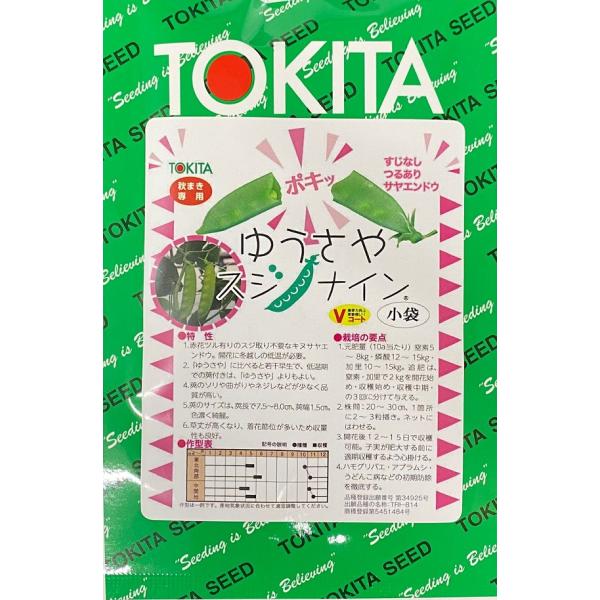 種子】 すじなしつるありサヤエンドウ ゆうさやスジナイン トキタ種苗
