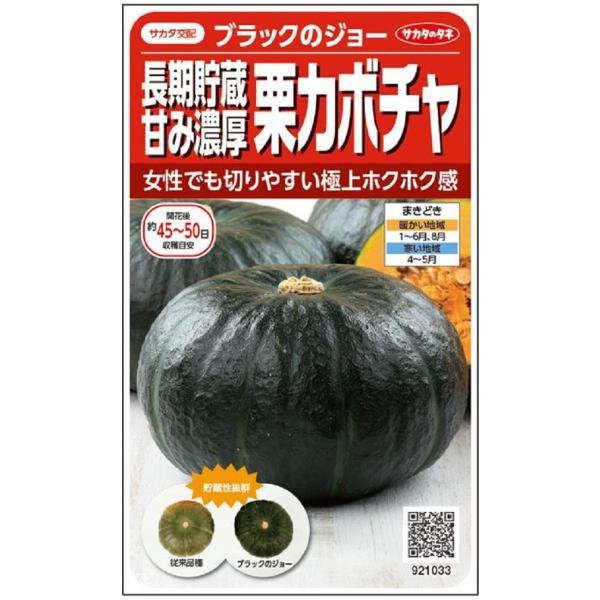 貯蔵性が優れ、皮色がツヤのある漆黒の栗カボチャです。絶妙なホクホク感と濃厚な甘みが特長です。放任栽培もできるくらいのつくりやすさ、抜群の実つきのよさを兼ね備えています。
