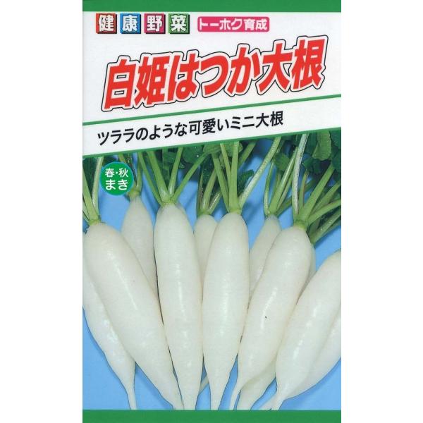 yqzP͂卪 g[zÑ^l