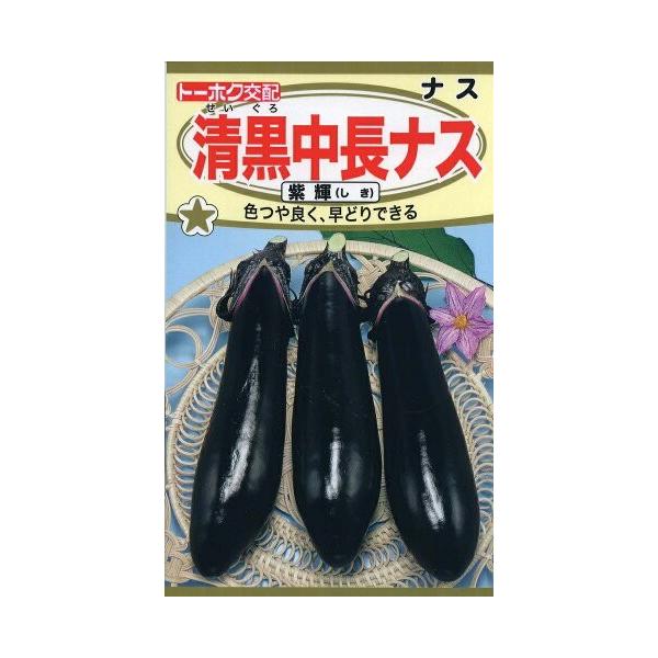 果実の長さが20cm位になる中長ナスです。果色は濃い黒紫色をした深みのある色で、ツヤがあり色ボケが少なく、そろいの良い品種です。