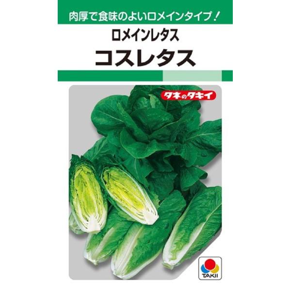 yqzC^X RX^X ^LCc̃^l