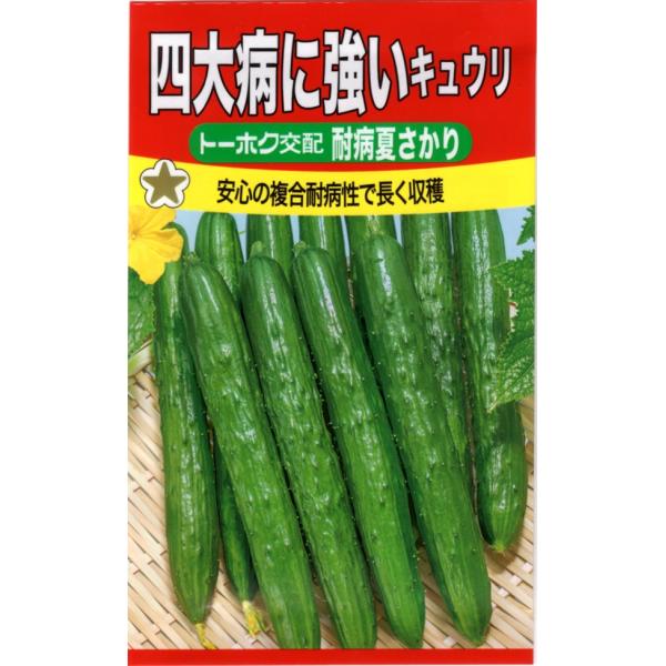 ウイルス病、うどん粉病、べと病、褐斑病のキュウリ四大病害に対して複合的に高い耐病性を持ちます。暑さにも強く作りやすく、おいしい果実を長く楽しめます。