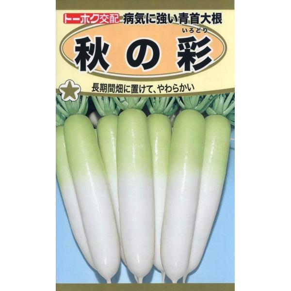 yqzaCɋ卪 H̍ʁiǂj g[zÑ^l