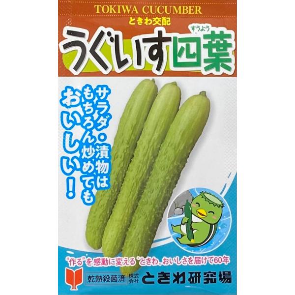 珍しいうぐいす色で、表面にしわが寄っていてイボが多くゴツゴツした果実となる。歯切れが良く、食味は良好で炒めてもおいしい。収穫適期は、果ナが3cm前後が良い。