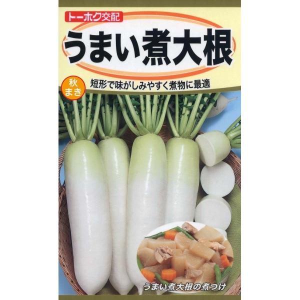 種子】うまい煮大根 トーホクのタネ :yasaitane-084:Gardener s Shop Ivy 通販 