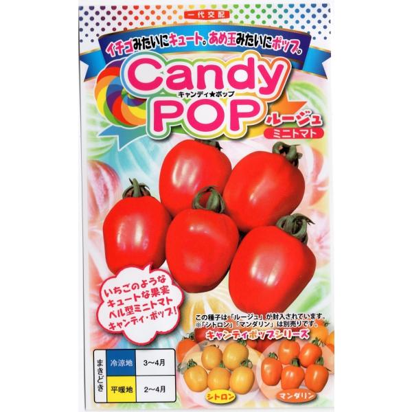 【種子】 Candy Pop(キャンディポップ) ルージュ ミニトマト ナント種苗のタネ