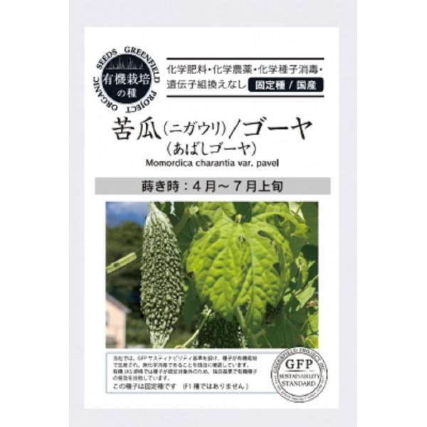 沖縄の在来種で、苦みが少ない品種です。果長は20〜25cm、果径は7〜10cmの肉厚でずんぐりした形です。1株から20個以上収穫できます。この種子は固定種です（F1種ではありません）