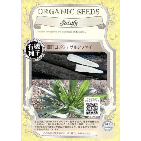 風味が牡蠣に似ていることから「オイスタープラント」とも呼ばれるゴボウに似た根菜で、植物名はバラモンジン。食感はアスパラに似ており、セロリのようなさわやかな香りとほのかな甘さが特徴です。固定種です　(F1ではありません)