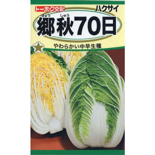 yqznNTC H70 g[zÑ^l