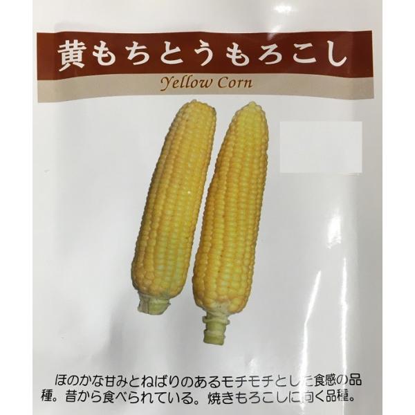 種子 とうもろこし 黄もちとうもろこし 日本タネセンターのタネ Buyee Buyee 日本の通販商品 オークションの代理入札 代理購入