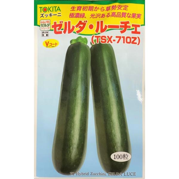 ・果長20cm前後、太さ3cm。円筒形で曲がり少なく極濃緑色、果皮に光沢がある。・生育初期から終盤まで草勢が強めに安定し、収量が期待できる。　草勢が立性で果実を発見しやすく、取り遅れが少ない。・茎に近いヘタ元を持って上手く折り取ると、ハサミ...