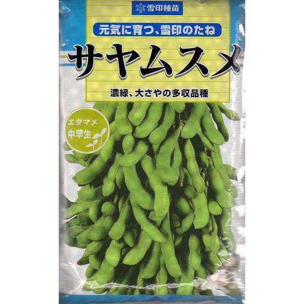 野菜種子 枝豆（えだまめ） サヤムスメ 1L コート種子 雪印種苗