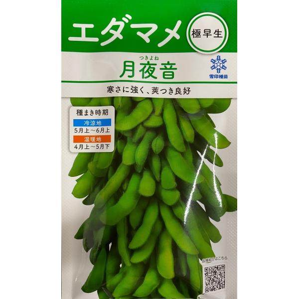 ・甘みがあり食味に優れる極早生品種<br>・低温着果莢性に優れ、不良条件下でも莢つき良好