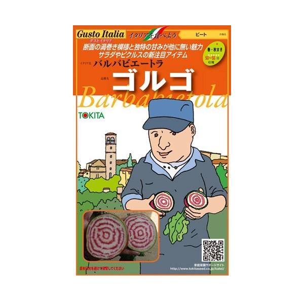 ؎q Gusto Italia r[c oorG[g SS gL^c̃^l