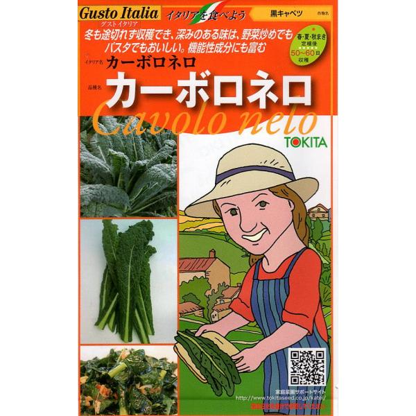 耐寒性が強く、霜が降りても生育し収穫し続けられる。葉は細長でまっすぐ伸び、濃緑色、凸凹のちりめん状。青汁でおなじみのケールより甘味・旨味も感じられる深みのある味わいで、ほぼ同等の高い抗酸化力と栄養成分。キャベツと比べるとビタミンCや抗酸化力...