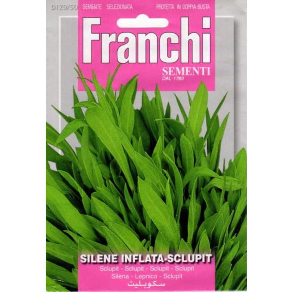 ��؎�q FRANCHI SEMENTI SILENE INFLATA-SCLUPIT �X�g���h�[�� �t�����`��