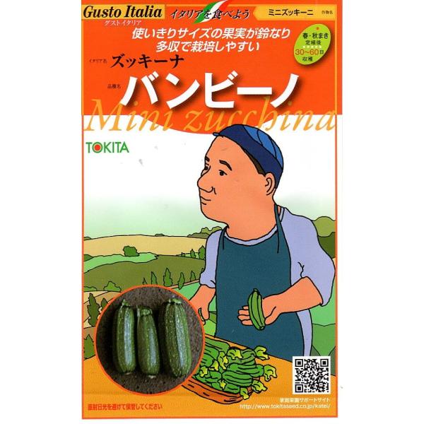 10〜15cmほどの長さで収穫する。男の子の意味のイタリア語から「バンビーノ」と名付けた。播種後45日頃から収穫可能な早生種。花数が多く、次々と果実が収穫できる。収穫本数は一般的なズッキーニの約1.5倍。一般的なズッキーニより果実が軟らかく...