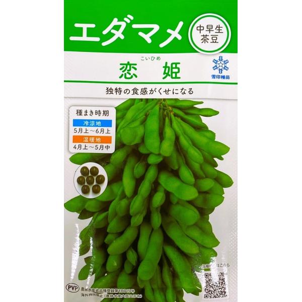 ・大莢で太りよくボリュームがある<br>・花数多く、着莢性に優れ多収<br>・甘みがあり、栗のような食感をもつ