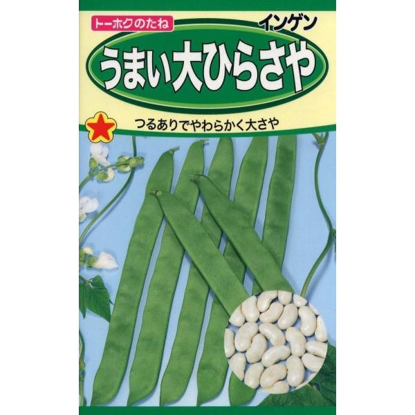 長さが20cmにもなる長めの平さやで、風味豊かでおいしい。豆のふくらみが目立たず、すじが残らないやわらかいインゲンで、株元の方からしっかりと収穫できます。品種名：B-1330