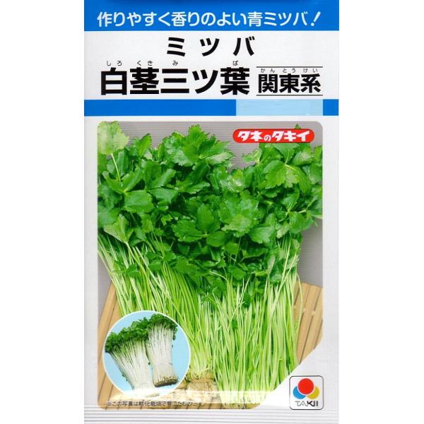 関東系の青ミツバ。葉柄は淡緑色で長い。草姿は立性で、葉は大型となる。関東地方の軟化栽培に適し、春まきと秋まき栽培が可能。