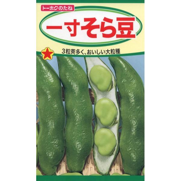 野菜種子 一寸そら豆 トーホクのタネ : Gardener s Shop Ivy - 通販