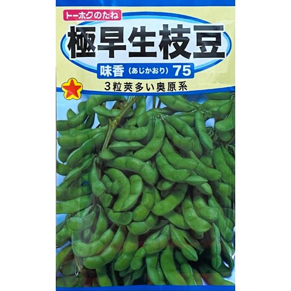 タネまきから75日位で収穫できる極早生種で、莢付きが良く3粒莢の比率も高いエダマメです。早まきできて、いち早くエダマメを味わいたい方におすすめの味と香りの良い早どり品種です。