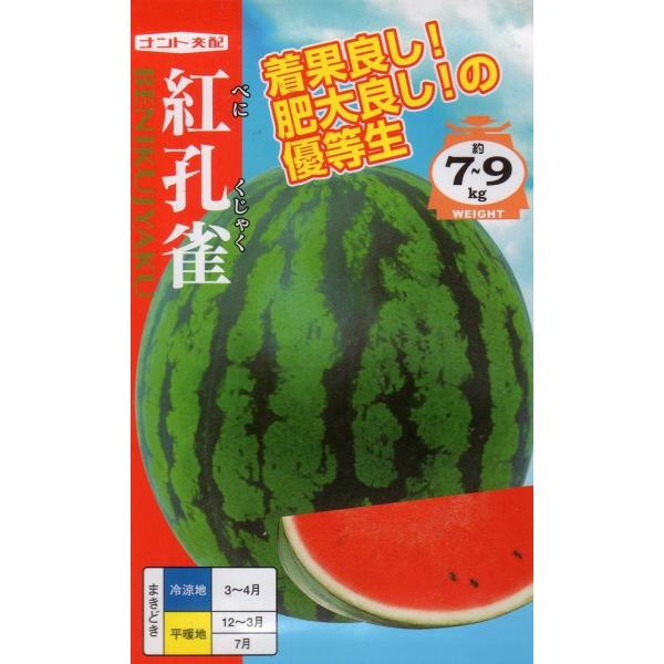 草勢は適度に旺盛で、まん丸大玉狙いの品種です。花粉の発生が極めて良く、着果性に優れ秀品率も高い。