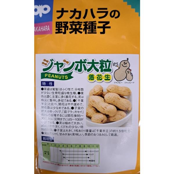 ●草姿は匍匐（ほふく）性で、分枝数が少ない生育旺盛な晩生種。●葉色は濃く、主茎に多く着花する。莢は株元に集中し多収である。●「千葉半立」と比べ、開花はやや遅めで、開花数は少なめである。●子実の肥大はゆっくりで、「茹でラッカセイ」用として収穫...