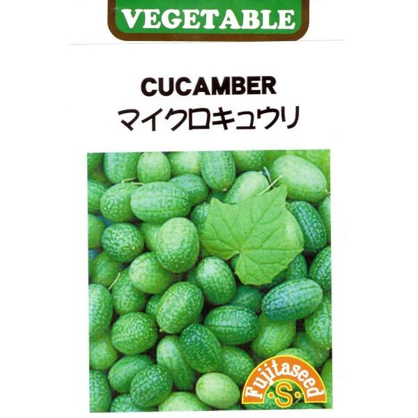 小さな可愛い実をたくさんつけるキュウリです。実の大きさは約2cmで、スイカのような模様です。さわやかな香りと酸味の感じられる実を、ピクルス・サラダなどに利用します。