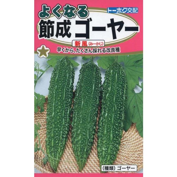 筋なりで着果が良いので過繁茂にならず、安定した果形で着実に収穫できる多収タイプ。肩張りの良い濃緑な果実は見栄えが良く、苦みも強くないので食べやすいと好評。