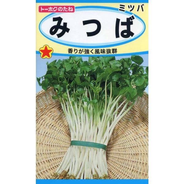 香りが強くて風味のあるとう立ちの遅い白茎の品種です。薬味だけにとどまらずおひたしや天ぷらなど、多方面に利用したい緑黄色野菜です。品種名：関東白茎系在来種