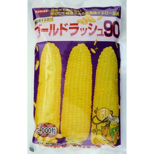 ・熟期は90日の中晩生イエロー品種、粒色が鮮やかで見栄えが良い。・フルーツのような香りがあり、食味が良い。・絹糸抽出日から収穫までの期間は現行品種と同程度だが、糖度が高く、しなびにくい。・雌穂はやや長形、2Lで先端不稔は現行品種と比較しても...