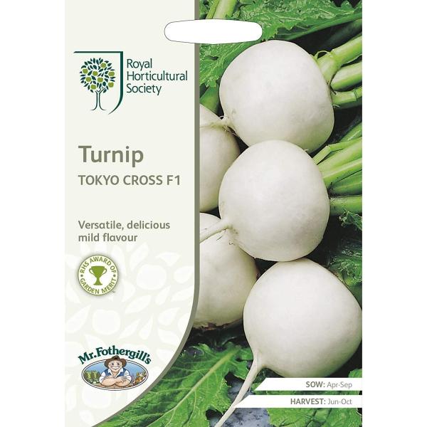yqzMr.Fothergill's Seeds Royal Horticultural Society Turnip TOKYO CROSS F1 RHS ^[jbviԁj g[L[ENX F1