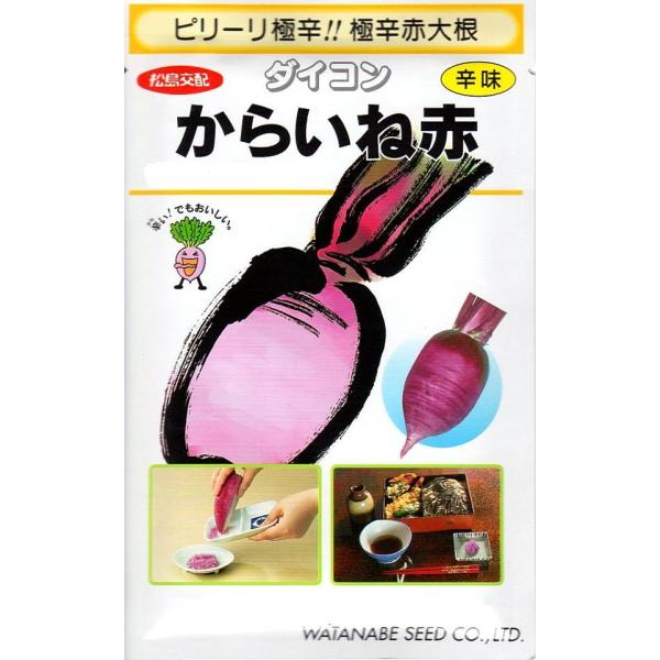 yqzh卪 炢ˁiԁj nӍ̎̃^l