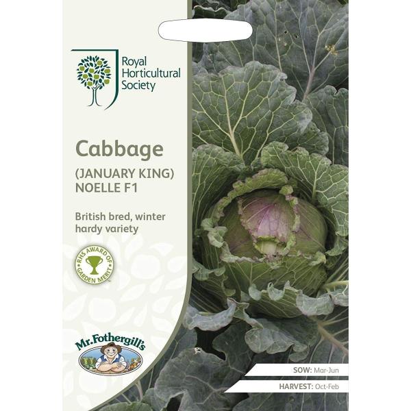 yqzMr.Fothergill's Seeds Royal Horticultural Society Cabbage (JANUARY KING) NOELLE F1 RHS Lxc (WjA[ LO) mG F1