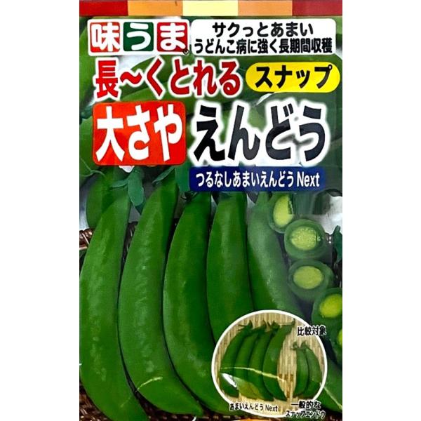 肉厚で甘いスナップエンドウです。大莢で通常品種の約1.5倍のサイズです。うどんこ病に強く、枯れ上がりが遅いので長く楽しめます。