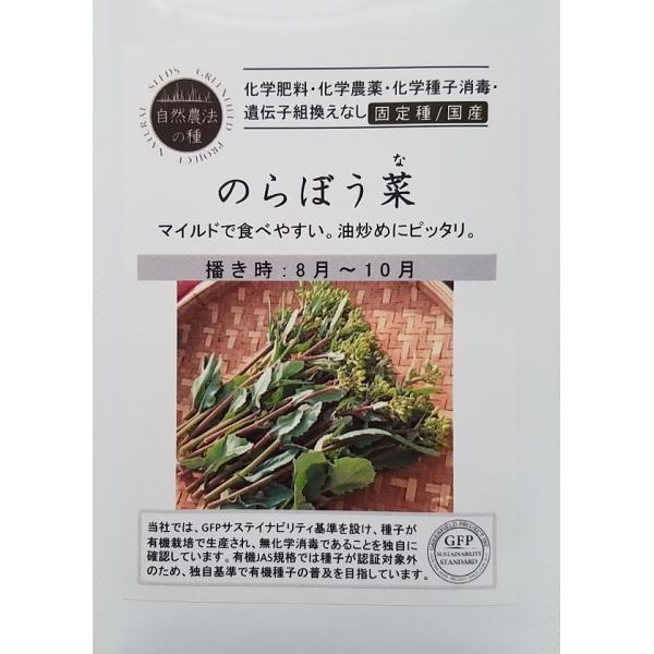 茎と花蕾を食べる西洋なばなの一種で江戸時代から関東に根付く伝統野菜です。炒め物や煮物にピッタリ。生でもほんのり甘くおいしくいただけます。摘んでからしおれるのが早いので、一般のスーパーや市場ではなかなかお目にかかれない貴重な野菜です。※この種...