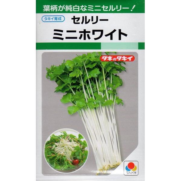 葉柄が純白なミニセルリーで、葉身は淡黄緑色。株張りはコンパクトで、密植してもよくそろう。マイルドな香り、クセのない食味で用途が広い。