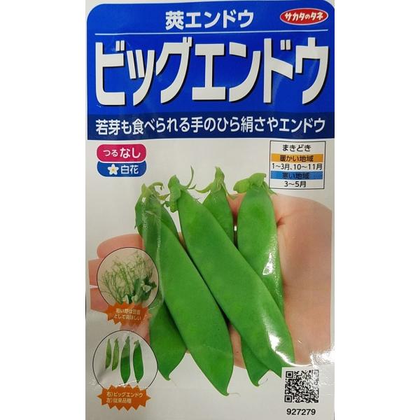 yqz䰃GhE rbOGhE TJ^̃^l