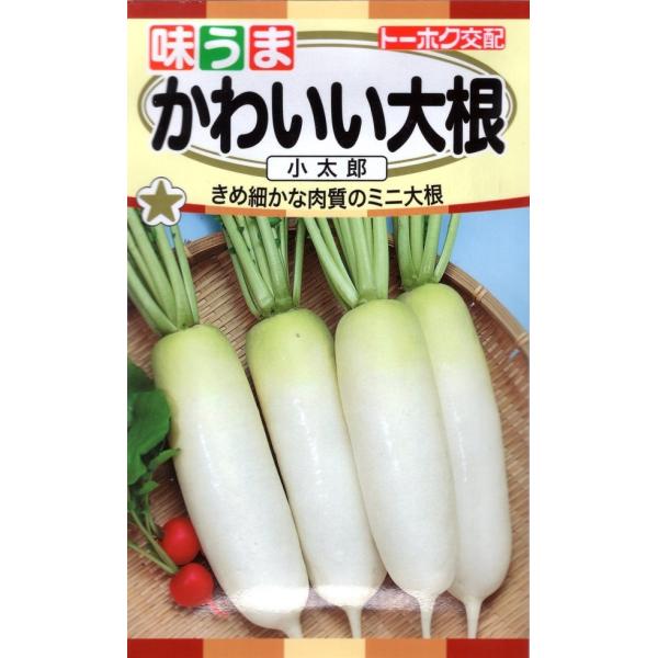 タネまきから約45日で長さ15〜20cmの使いきりサイズが収穫できます。コンパクトな草姿で密植ができ、プランターでも栽培できます。サラダ、浅漬け、煮物など様々に利用できます。