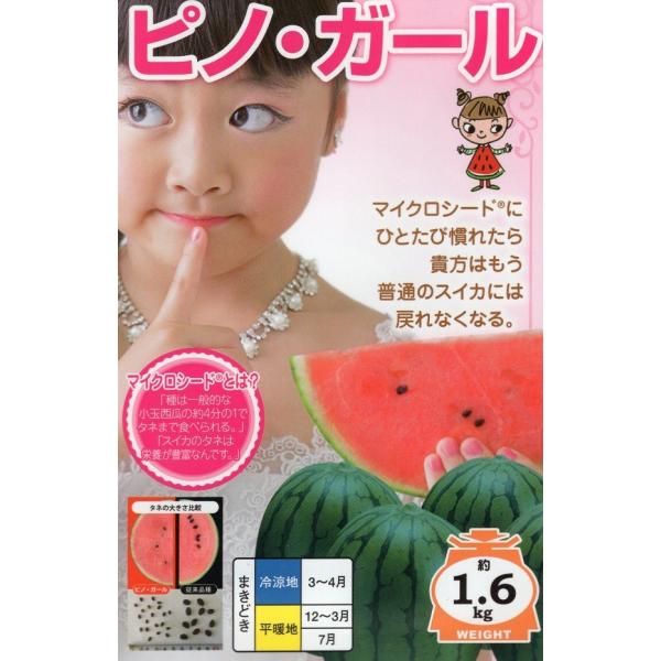 ●種子のサイズは普通のスイカの約4分の1。種ごと食べても気にならない。●果肉は硬めで今までにない極上のシャリシャリ食感。収穫後の日持ちが良い。●糖度乗りが良く、糖度13度程度に安定。●低温下でも花粉発生がよく、高温下の草勢維持も良いため広い...