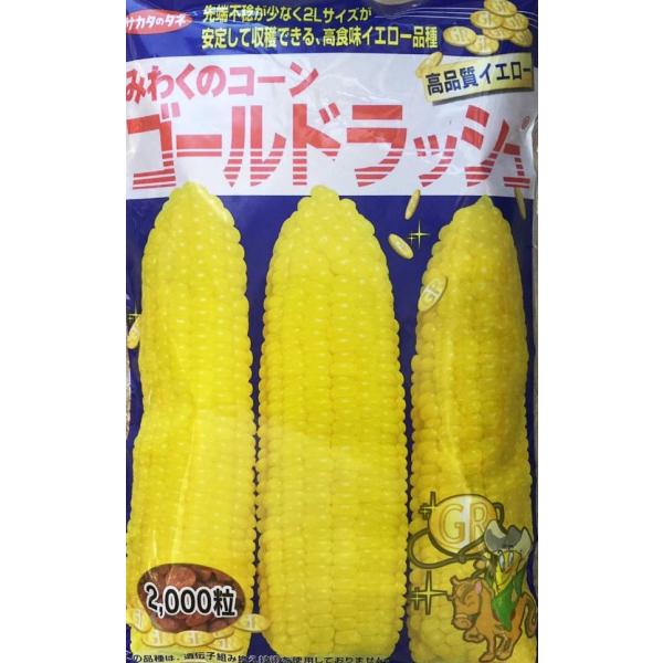 ・中早生イエロー品種、熟期は83〜84日で高食味タイプの中ではかなりの早生性がある。・粒皮がやわらかく、爽やかな甘味があり、皮の残りが少なく後味はすっきりしている。・雌穂は2L以上で、先端不稔が少なくよくそろう。栽培環境に左右されにくく、形...