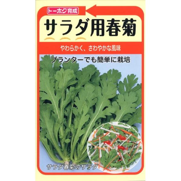 サラダに適したやわらかで爽やかな風味の品種です。生育旺盛で株張り型の中葉種。病気や害虫もつきにくいので作りやすく、プランターでも手軽に栽培することができます。こちらの種子は選抜系在来種です。